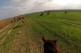 /album/foto1/dsc-0606-2-12-jpg/